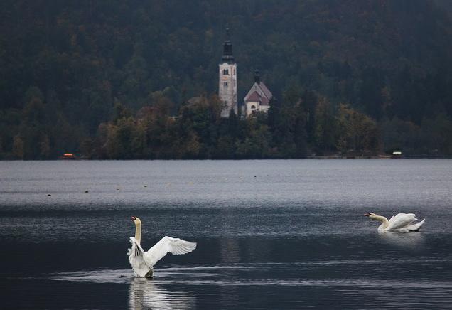 Apartment Villa Vltava Bled Bagian luar foto
